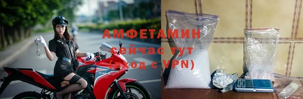 хмурый Алзамай