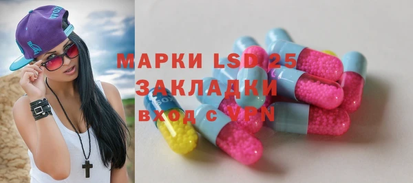 хмурый Алзамай