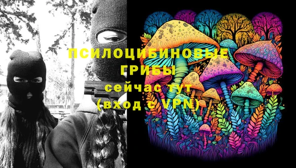 молекула духа Киреевск