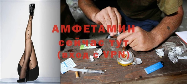 амф Алексеевка