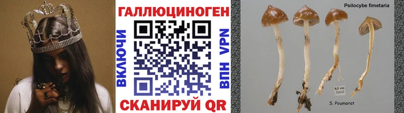 Псилоцибиновые грибы Magic Shrooms что такое Саров