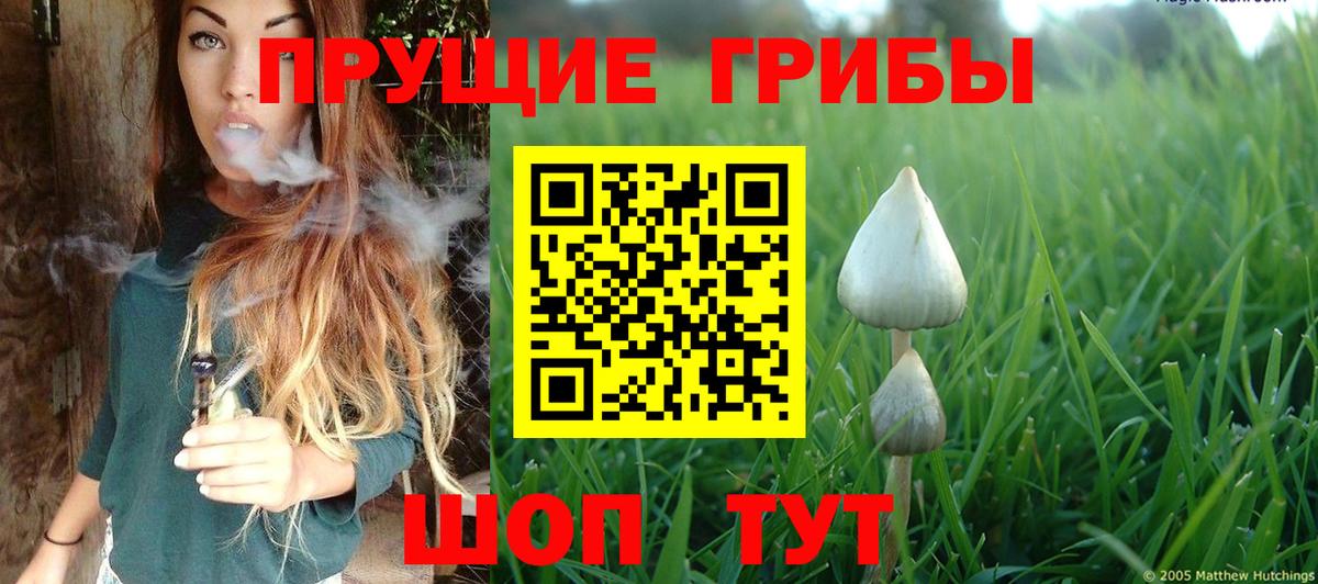 Саров  Галлюциногенные грибы MAGIC MUSHROOMS  Вход с VPN  Псилоцибиновые грибы Psilocybe 